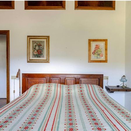 Divinae Cintoia Villa Greve in Chianti Esterno foto